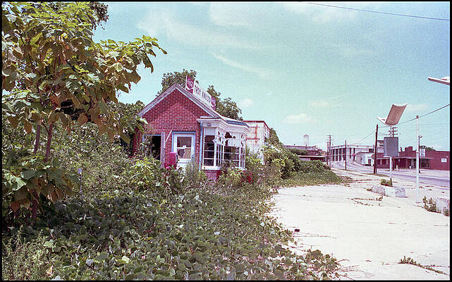 Abandoned Gas Station on Overgrown Road Wall Art