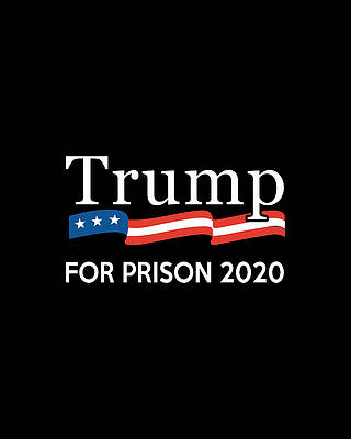 Party Wall Art featuring the digital art Trump For Prison 2020 by Flippin Sweet Gear