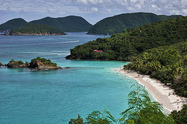 Wall Art featuring the photograph Trunk Beach, St. John, US Virgin Islands by Matthew DeGrushe