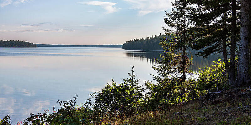 Wall Art featuring the photograph Tuckamore Lake Reflection, Newfoundland, Canada by Tatiana Travelways