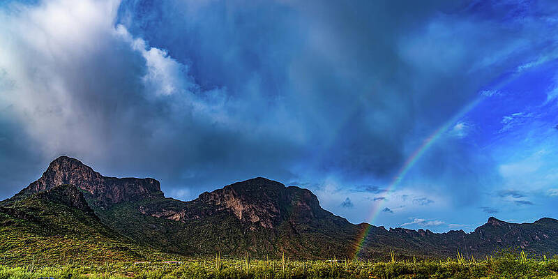 Desert Photograph - Tucson To Canada by Tommy Farnsworth
