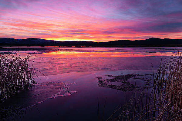 Wall Art featuring the photograph Tule Sunset by Mike Lee