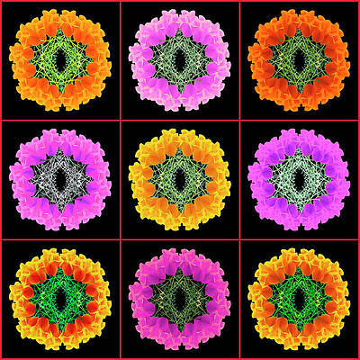 Vibrant Geometric Floral Patterns Wall Art