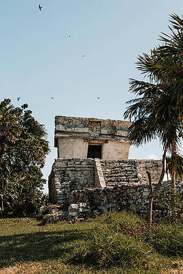 Greenery Photograph - Tulum Archaeological Site by Nova Rae