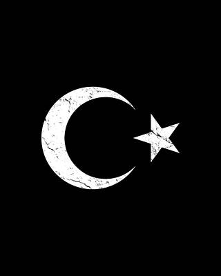 Cool Wall Art featuring the digital art Turkey Flag by Flippin Sweet Gear