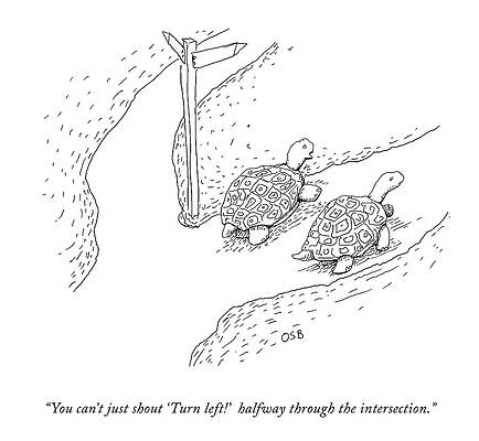 Turtles at a Crossroad Wall Art