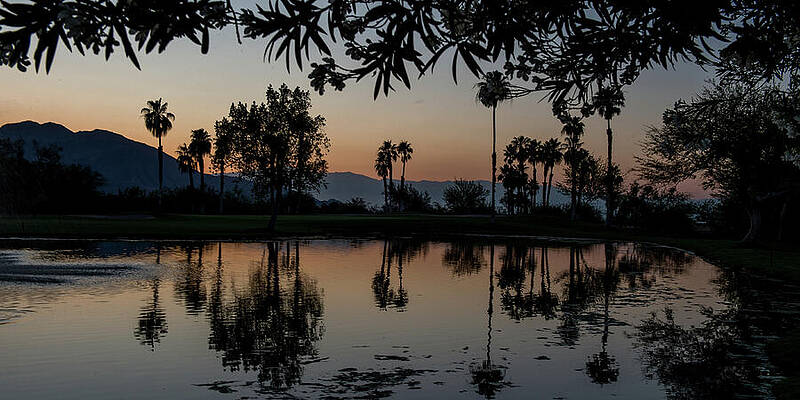 Tree Photograph - Twilight At Ironwood CC Pond, Palm Desert, California by Bonnie Colgan