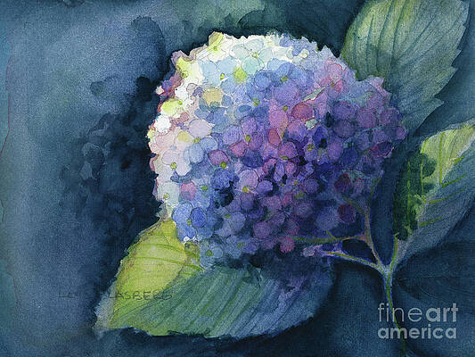 Wall Art featuring the painting Twilight Hydrangea by Lois Blasberg