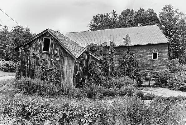 Photograph - Twisted Barn by Steven Nelson