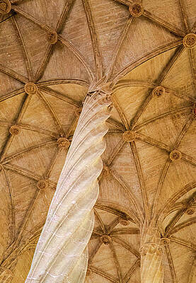Architecture Wall Art featuring the photograph Twisted Columns Of The Silk Exchange In Valencia by Elvira Peretsman