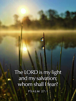 Southern Wall Art featuring the photograph Two Dew Drops by Greg Lane