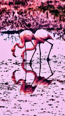 Two Flamingos Reflected in Water Digital Art