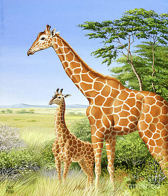 Giraffes In Savanna Print