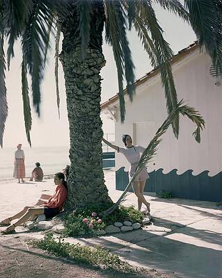 Coastal Wall Art featuring the photograph Two Models Under A Palm Tree by Cecil Beaton