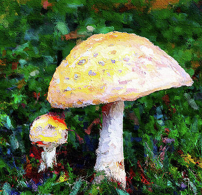 Wall Art featuring the mixed media Two Mushrooms In The Forest by Tatiana Travelways