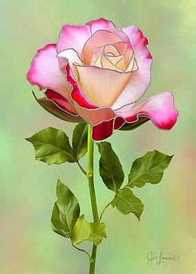 Flower Wall Art featuring the photograph Two Tone Pink Rose With Pale Vignette by Sue Leonard