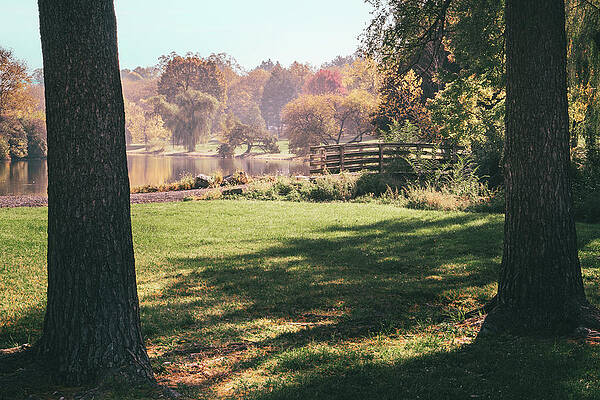 Fall Photograph - Two Trees A Bridge And A Lake by Jason Fink