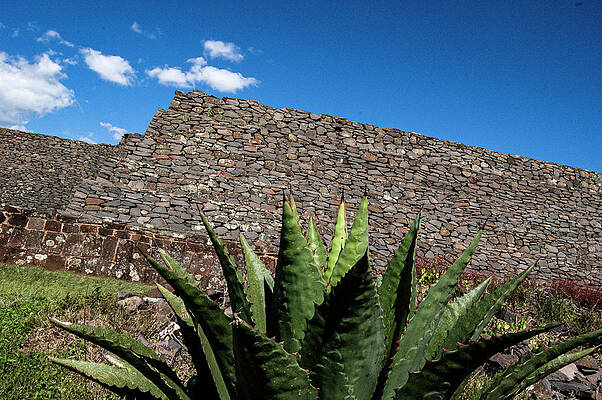 Mexico Photograph - Tzintzuntan Pyramid by William Scott Koenig