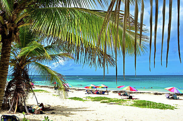Tree Wall Art featuring the photograph Umbrellas In The Sand by La Dolce Vita