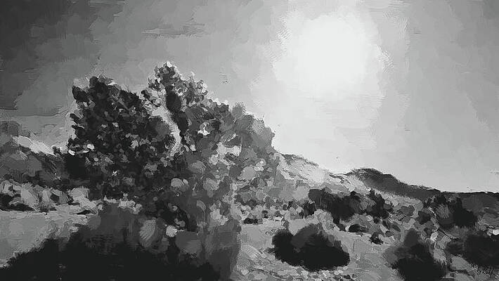 Aurora Australis Bw Print