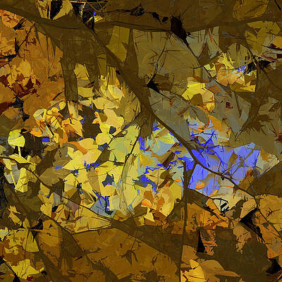 Sky Digital Art - Under An Autumn Sky by Gina Harrison