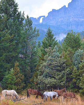 Landscape Photograph - Under The Eagle by Alden Ballard