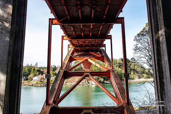 2023 Photograph - Under The Rainbow by Tom Cochran