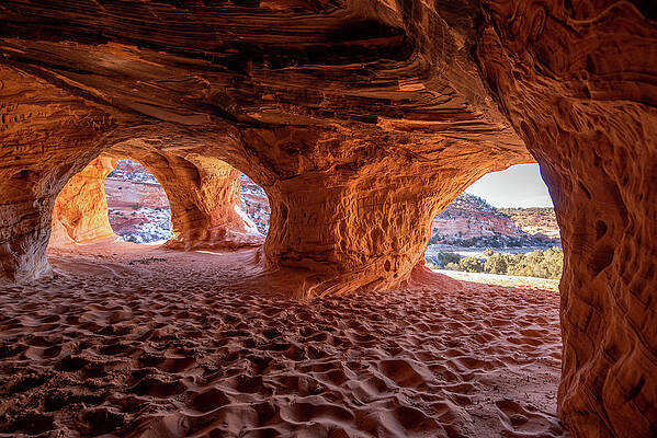 Photograph - Underfoot by Matt Halvorson