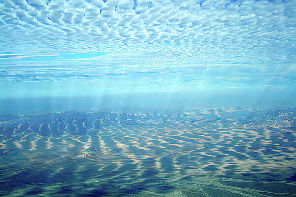 Wall Art featuring the photograph Underwater Air by William D Briscoe