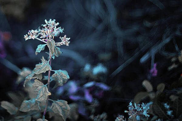 Wall Art featuring the photograph Underworld by Gian Smith