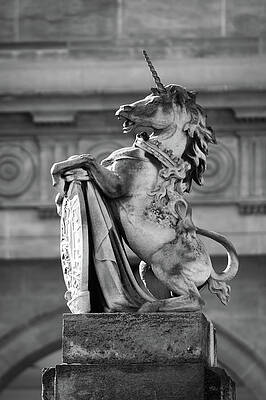 Black And White Photograph - Unicorn Of Royal Mews by Chad Thunberg