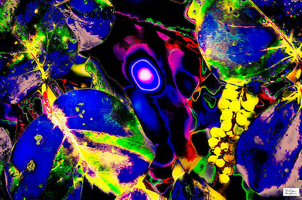 Nature Photograph - Mia- Universaleaf by Alex John Bergerman