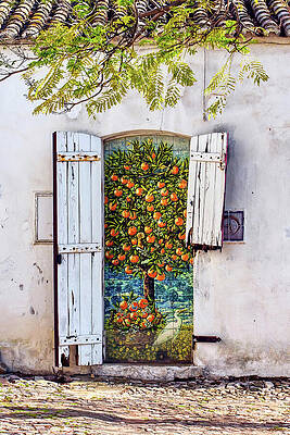 Tree Wall Art featuring the photograph Unusual Door In Silves, Portugal by Tatiana Travelways