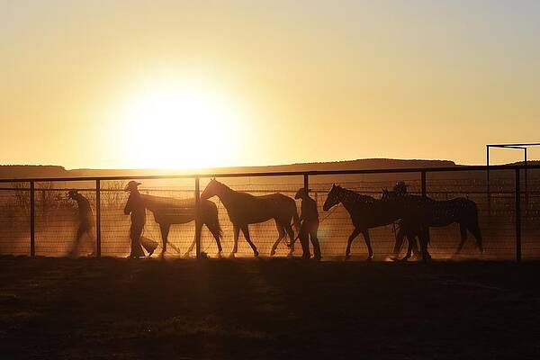 Cowboy Wall Art featuring the photograph Up Before The Sun by Alden White Ballard