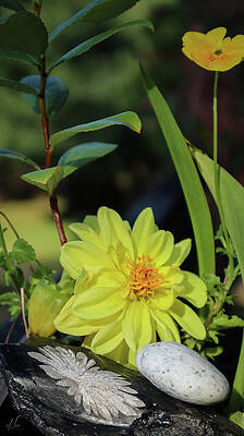 Beautiful Photograph - Uplifting The Dahlia by D Lee