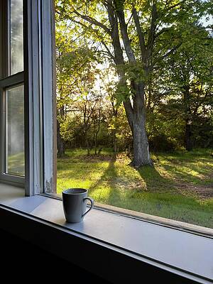 Wall Art featuring the photograph Upon A Spring Morning by Mary Lee Dereske