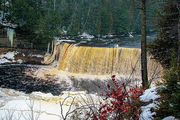 Natural Photograph - Upper Falls In December by Deb Beausoleil
