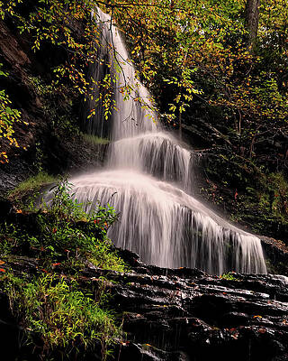 Wall Art featuring the photograph Upper Portion Of Cathedral Falls by Flees Photos