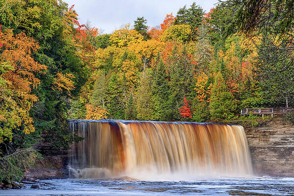 Fall Wall Art featuring the photograph Upper Tahquamenon Falls In Autumn by Michael Collins