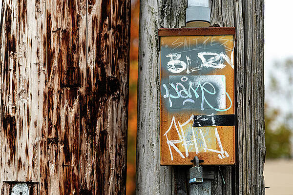 Urban Wall Art featuring the photograph Urban Fall Colors by Chad Thunberg