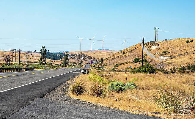Wall Art featuring the photograph US 97 Curves Through Brown Hills by Tom Cochran
