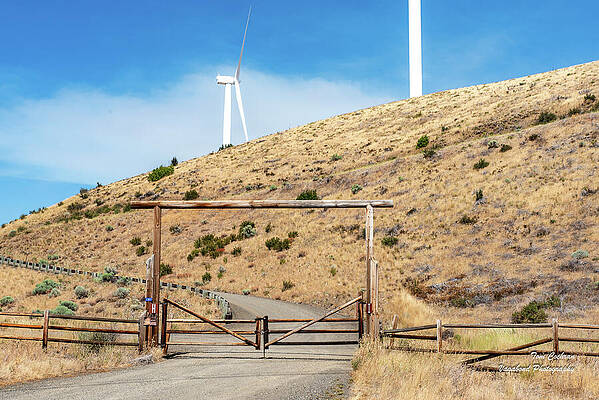 Wall Art featuring the photograph US 97 Ranch Gate And Wind Turbines by Tom Cochran