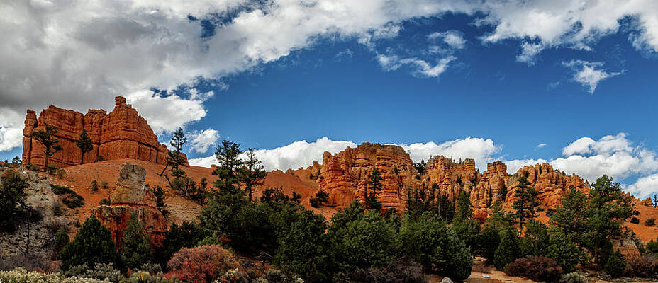 Majestic Red Rock Canyon Photograph