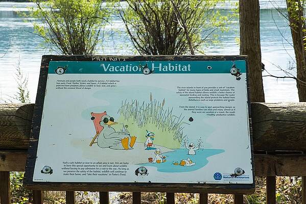 May Photograph - Vacation Habitat by Tom Cochran
