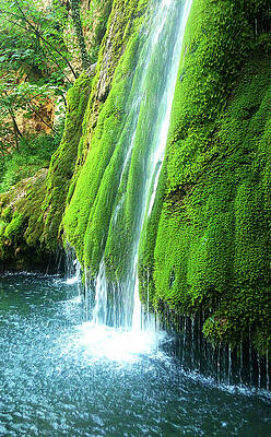 Photograph - Vadu Crisului Waterfall, Cascada Vadu Crisului, Romania by Nicko Prints