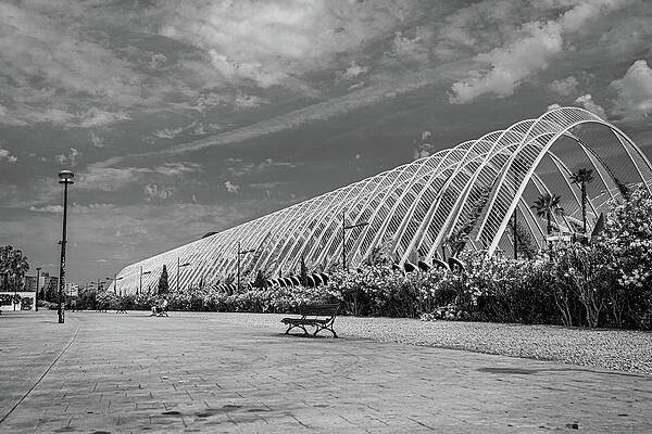 Vibrant Photograph - Valencia, City Of The Arts And The Sciences -1 by Francisco Ruiz Navas
