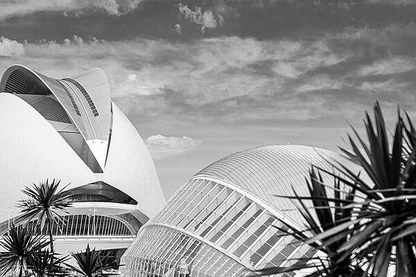 Vibrant Photograph - Valencia, City Of The Arts And The Sciences -4 by Francisco Ruiz Navas