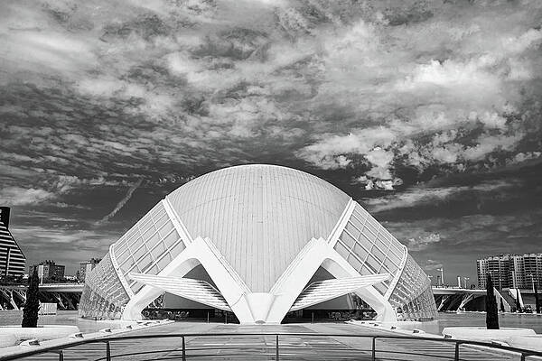 Vibrant Photograph - Valencia, City Of The Arts And The Sciences -6 by Francisco Ruiz Navas