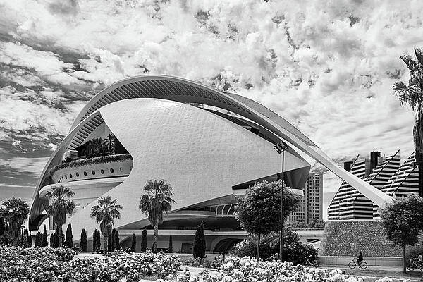 Vibrant Photograph - Valencia, City Of The Arts And The Sciences -8 by Francisco Ruiz Navas