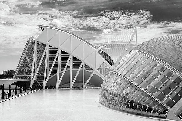 Vibrant Photograph - Valencia, City Of The Arts And The Sciences -9 by Francisco Ruiz Navas